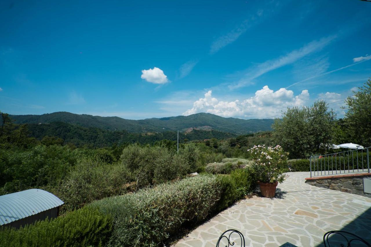 Luxury Villa In Tuscany - Casa Di Nonnas Пеша Экстерьер фото