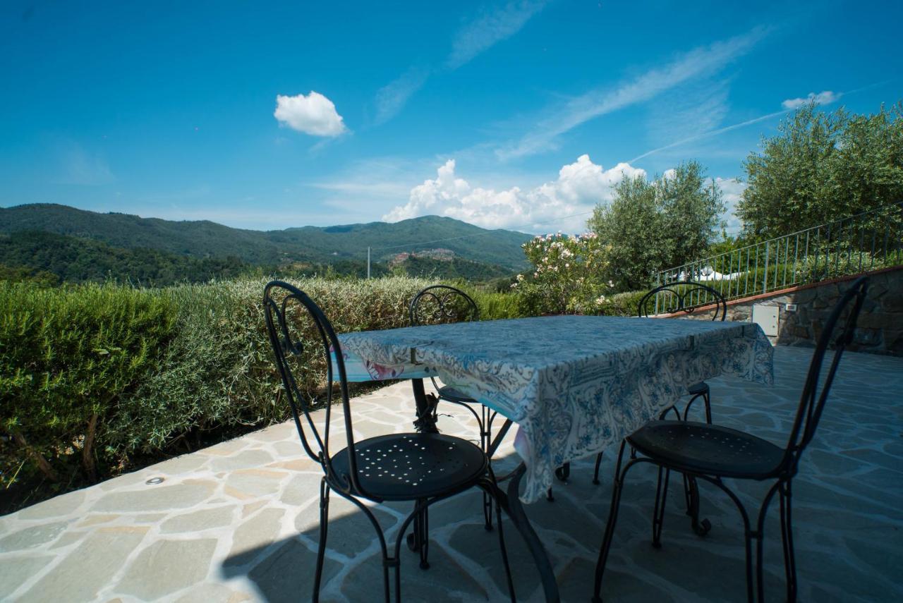 Luxury Villa In Tuscany - Casa Di Nonnas Пеша Экстерьер фото